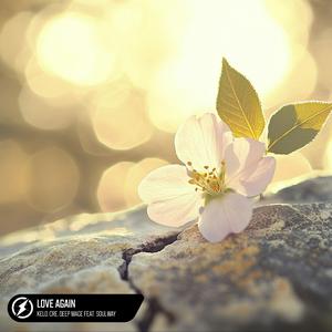 亚洲日本欧美日韩精品
